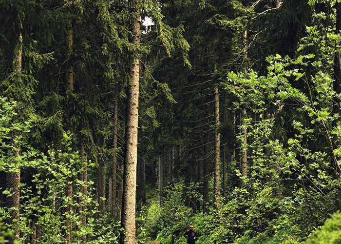 1761056628-pexels-lost140601-1098624128-22915799 (3).jpg